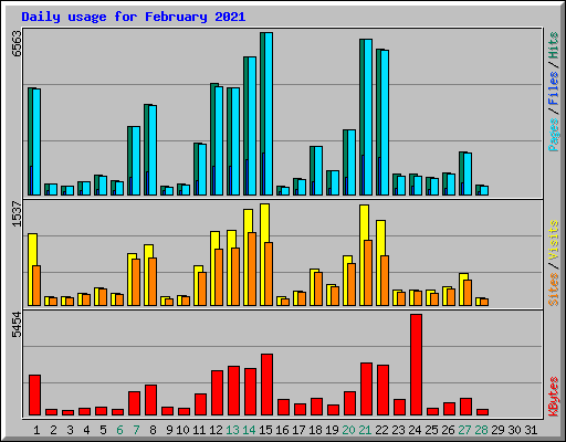 Daily usage for February 2021