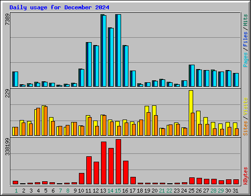 Daily usage for December 2024
