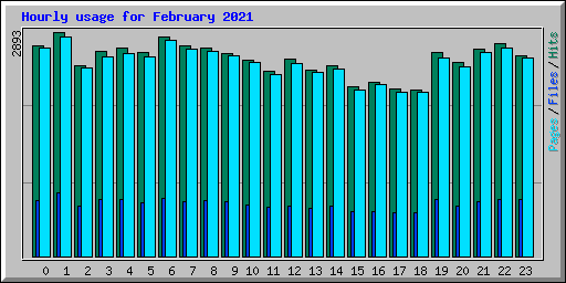 Hourly usage for February 2021