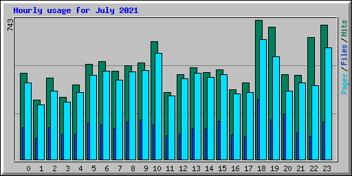 Hourly usage for July 2021