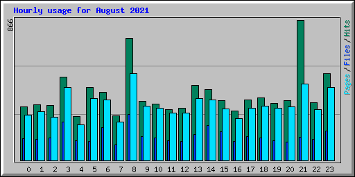 Hourly usage for August 2021