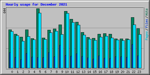 Hourly usage for December 2021