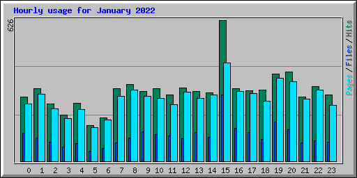 Hourly usage for January 2022