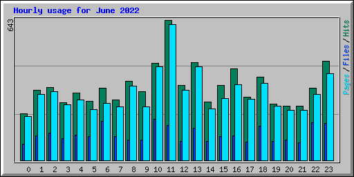 Hourly usage for June 2022