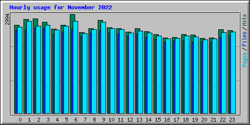 Hourly usage for November 2022