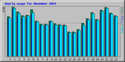 Hourly usage for November 2024