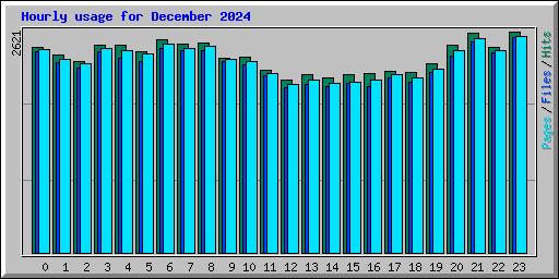 Hourly usage for December 2024