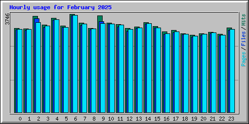 Hourly usage for February 2025