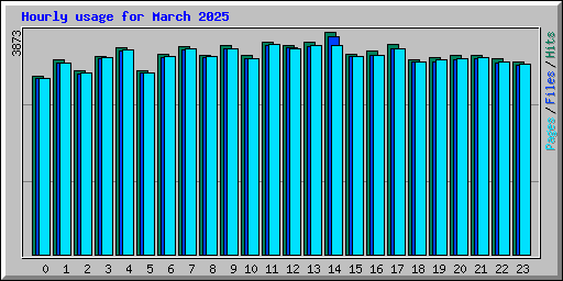Hourly usage for March 2025