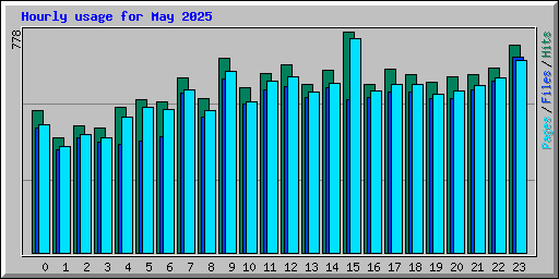 Hourly usage for May 2025