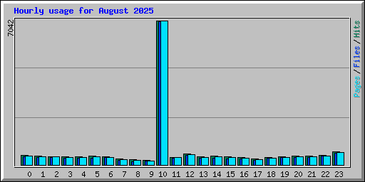 Hourly usage for August 2025