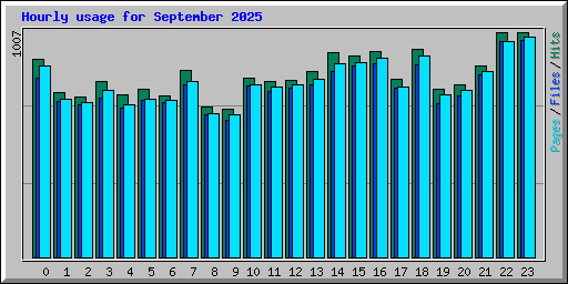 Hourly usage for September 2025