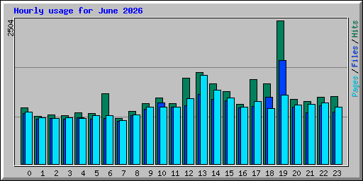 Hourly usage for June 2026